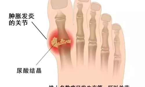【中药用药剂量是指什么】中药的剂量一般是指 - 中药用药剂量是指网